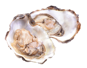 Oyster Happy Hour